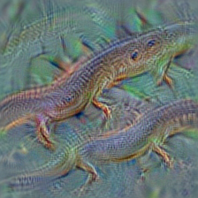 n01689811 alligator lizard